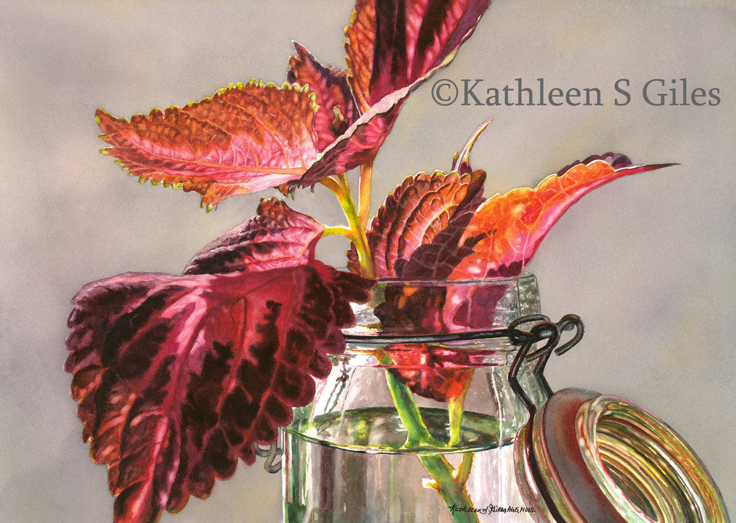 Original Watercolor Painting Coleus in a Jar on Sale