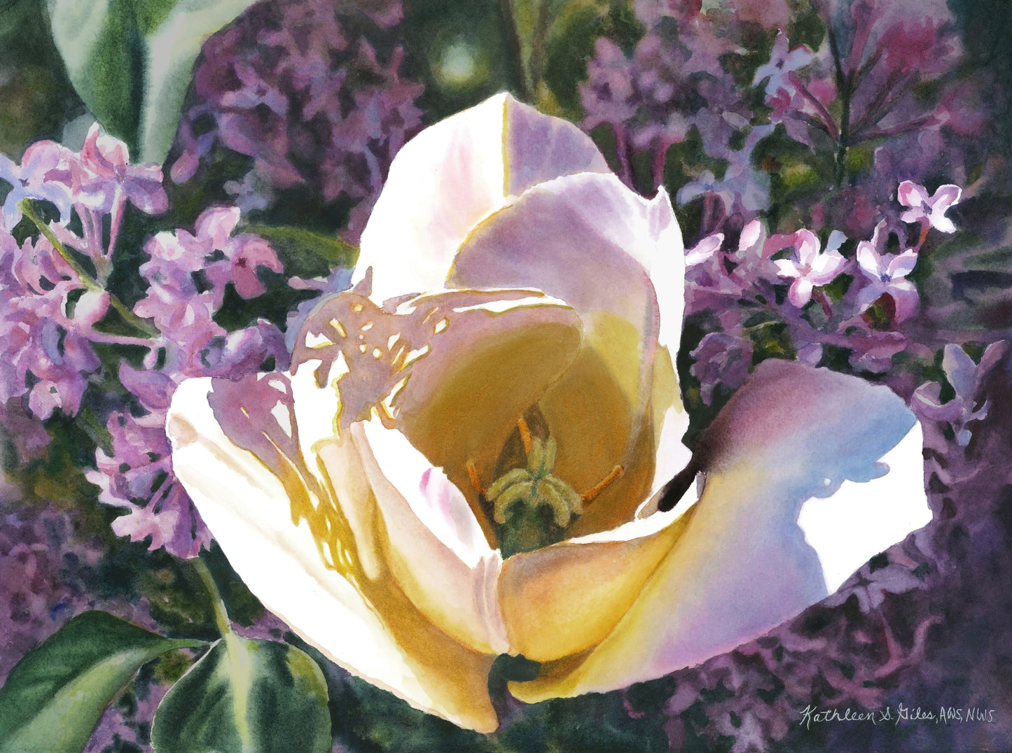 Tulip with Lilacs