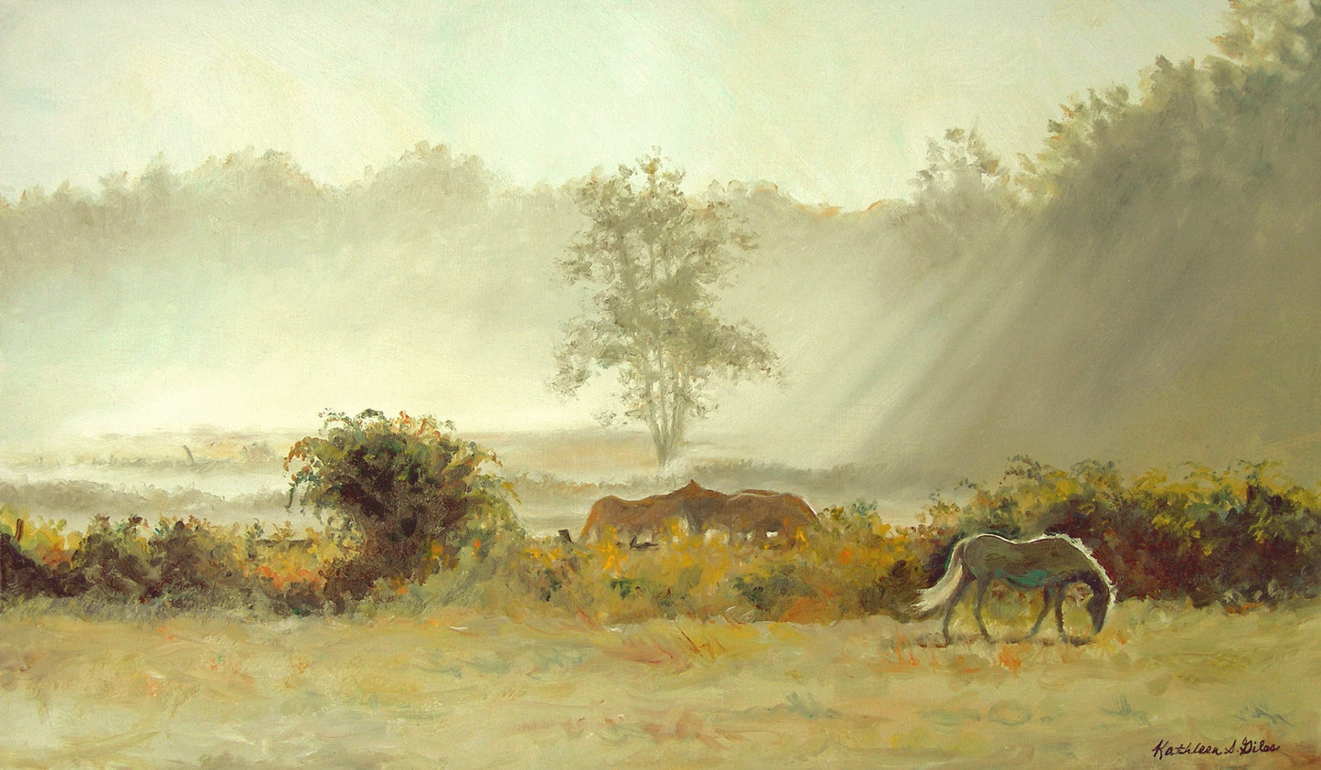 Misty Morning