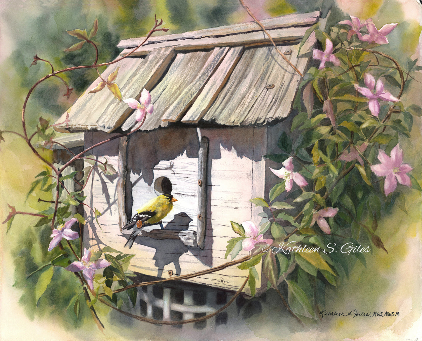 Gold Finch on Birdhouse