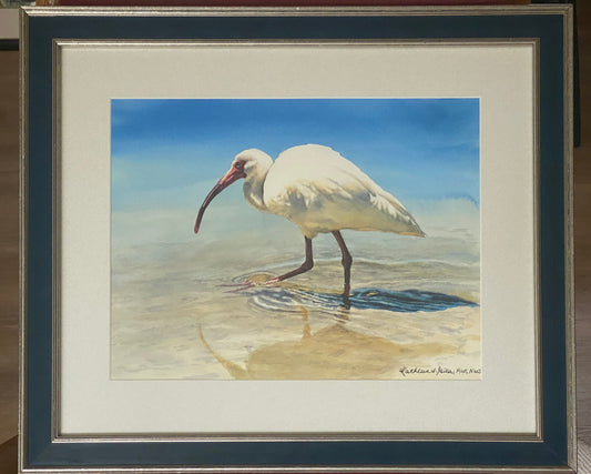 Original Watercolor Painting Ibis