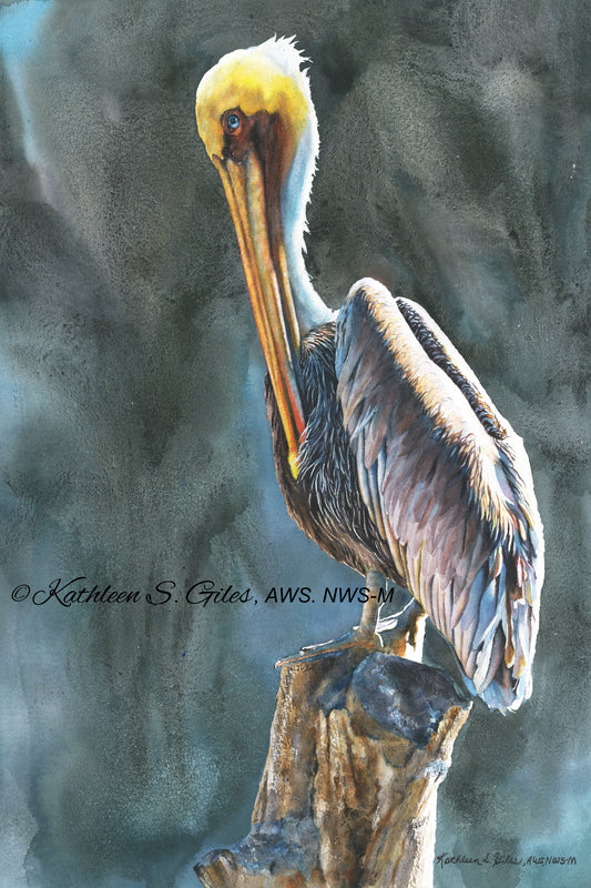 Original Watercolor Painting Pelican