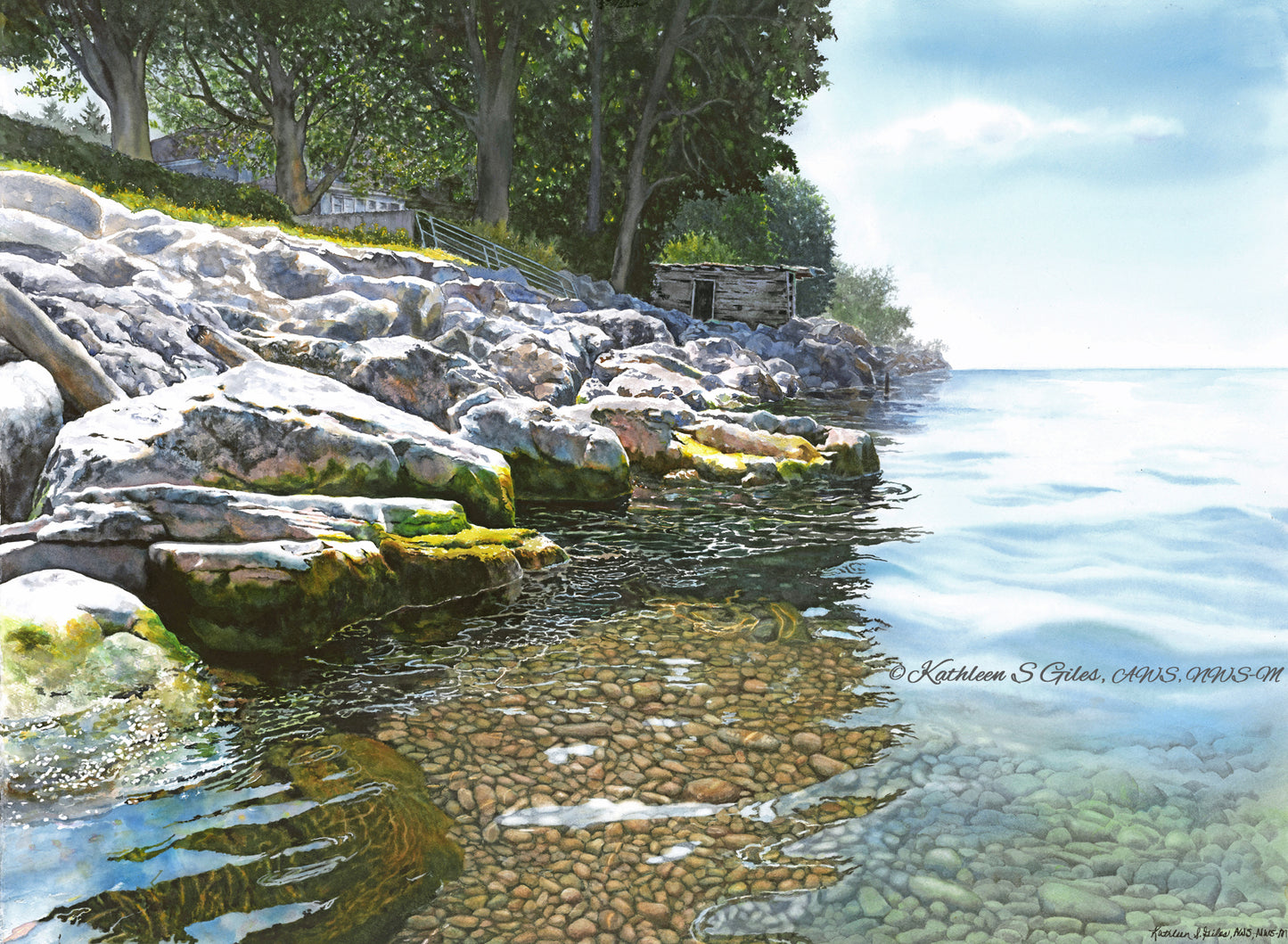 Lake Reflections