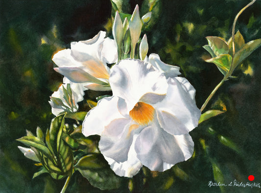 Original Watercolor Mandevilla