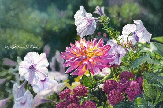 A close-up garden scene featuring a central pink and yellow dahlia surrounded by pale lavender petunias and burgundy flowers, with a soft blurred green background. A cursive watermark reading Kathleen S.