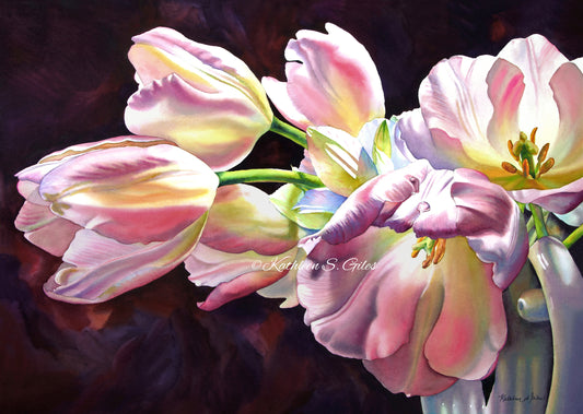 Pink Tulips