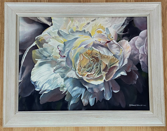 Original Watercolor Painting of Shadowed Peony