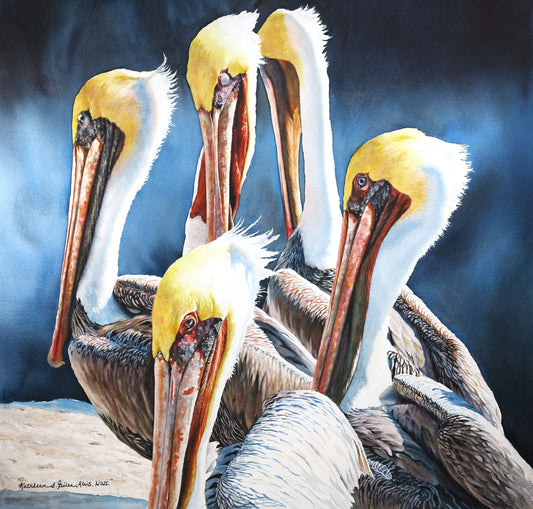 Demonstration: Painting The Background and Detail of Pelican Painting